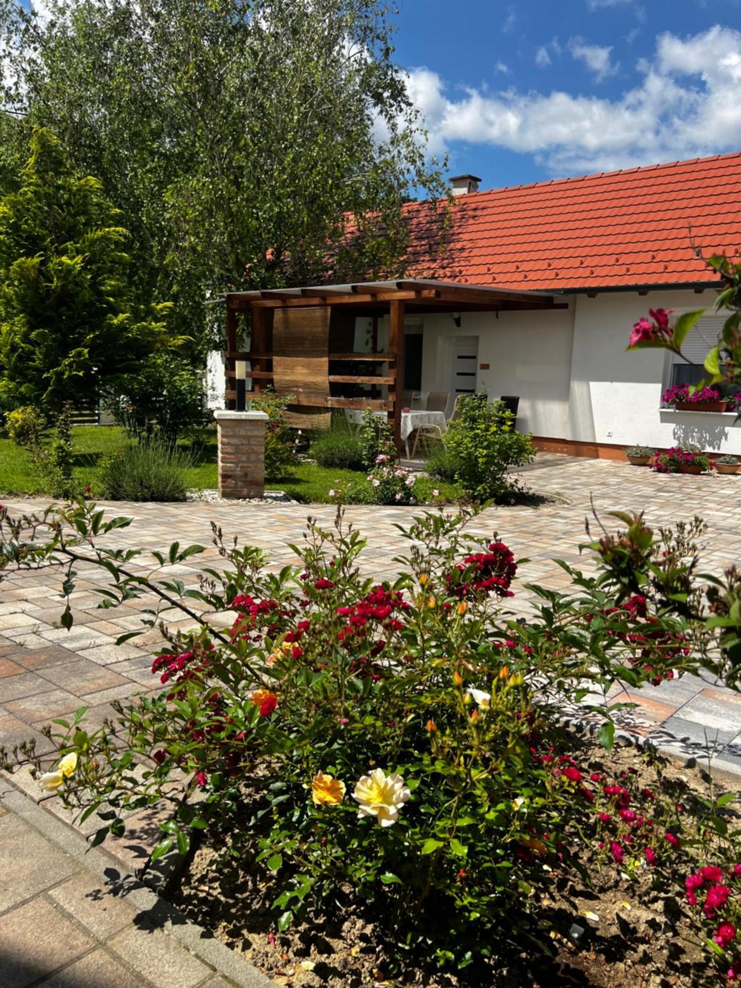 Dreko Panzio & Borbisztro Bed & Breakfast Győrújbarát Exterior foto
